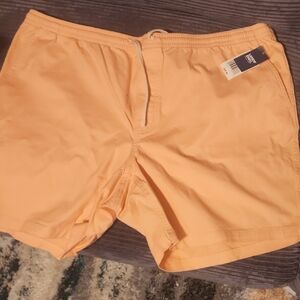 Lands' End Men's Peach Athletic Shorts